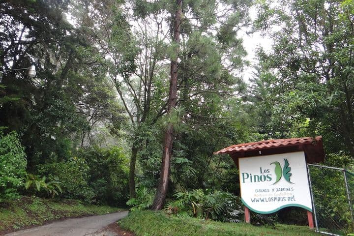 Los Pinos Cabanas y Jardines photo 2