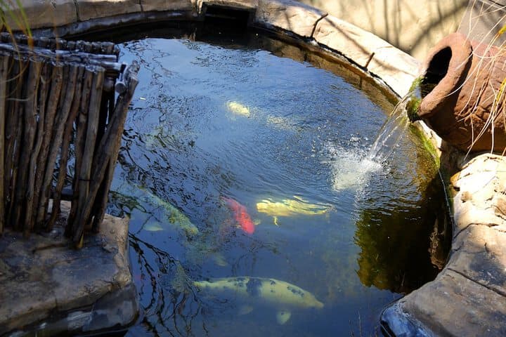 Waterfalls Boutique Hotel photo 5