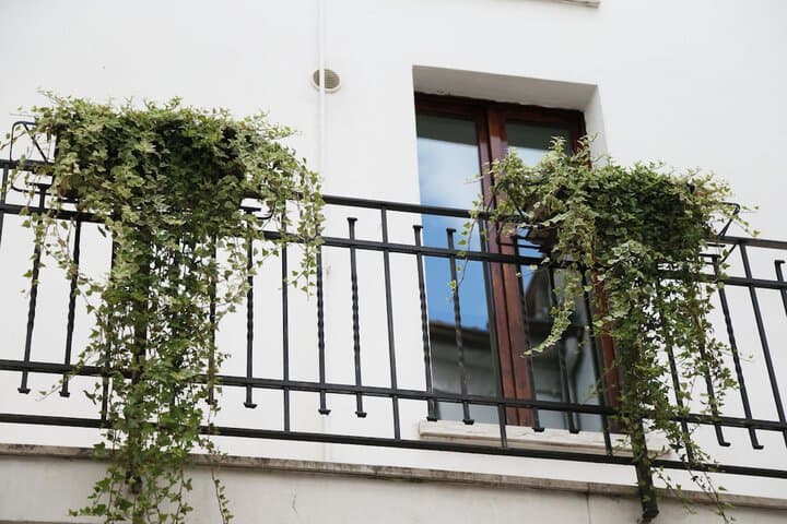 Residenza Accademia photo 3