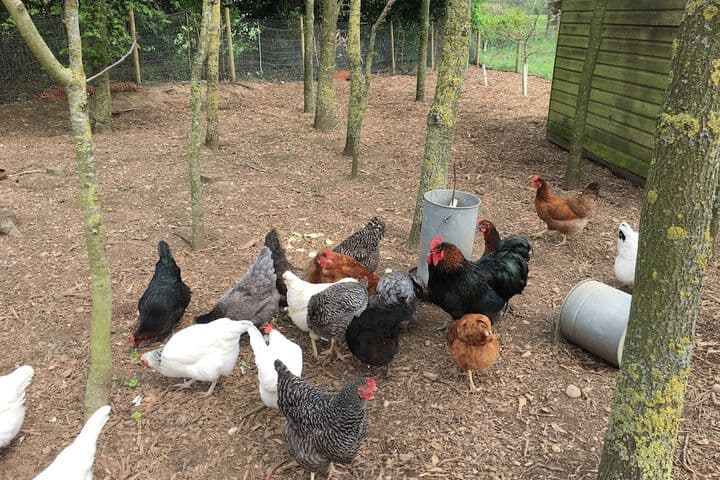 Marsh Farm photo 4