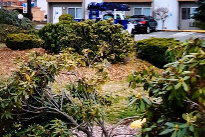 Ocean Star Inn photo 4
