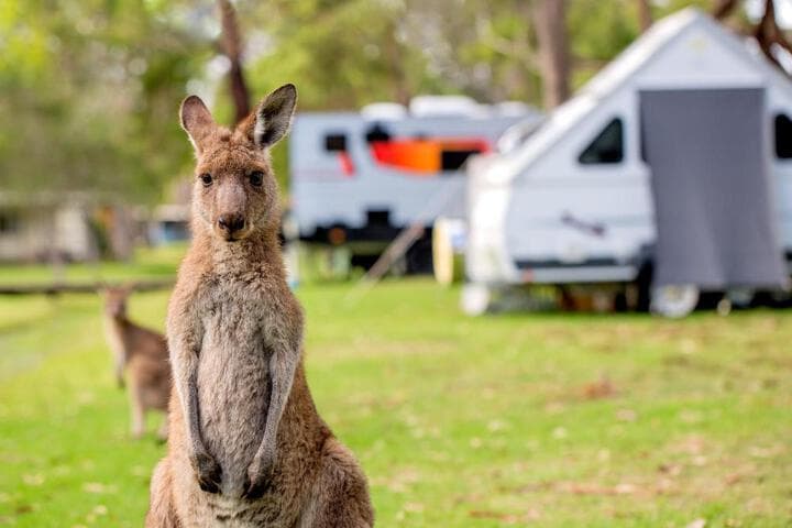 Tasman Holiday Parks Kioloa Beach photo 5