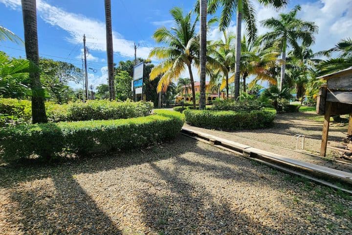 Caribbean Shores Bed & Breakfast photo 5