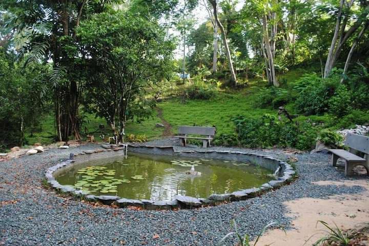 Adventure Eco Villas photo 4