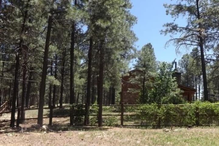 Arizona Mountain Inn&Cabins photo 3