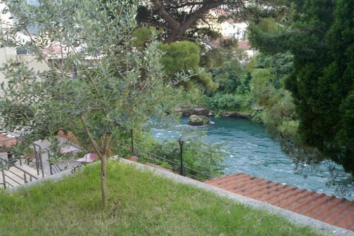 Villa Park photo 2