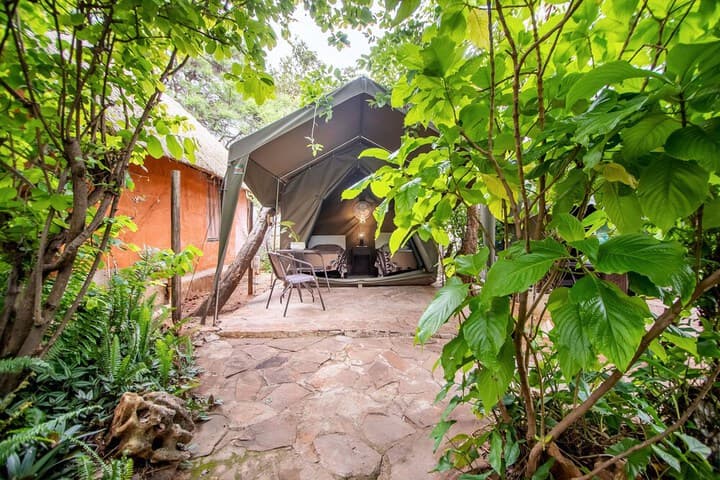 Victoria Falls Backpackers photo 3