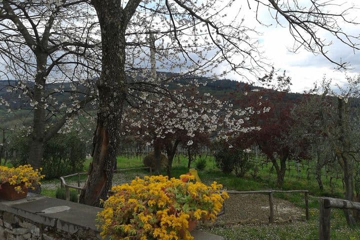 Agriturismo Poggiopiano photo 3