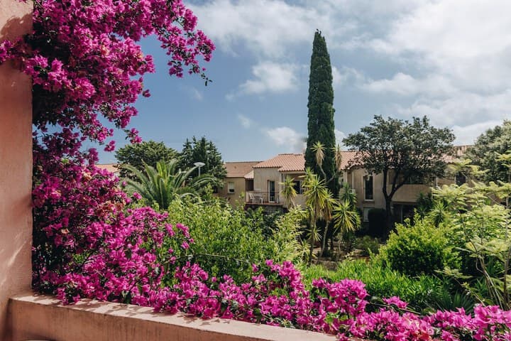 Residence Benista photo 3