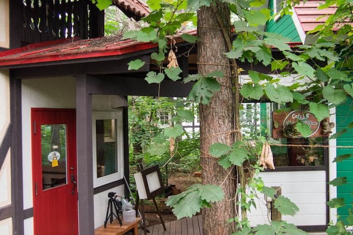 The squirrels guesthouse Canterbury photo 2