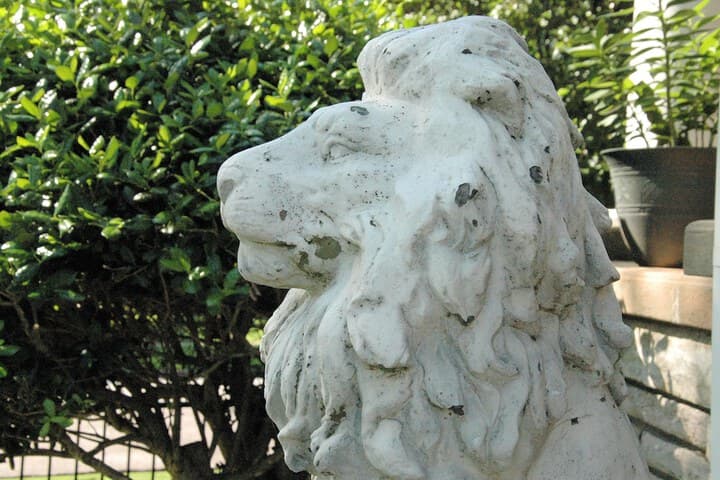 Janssen Park Place B&B photo 4