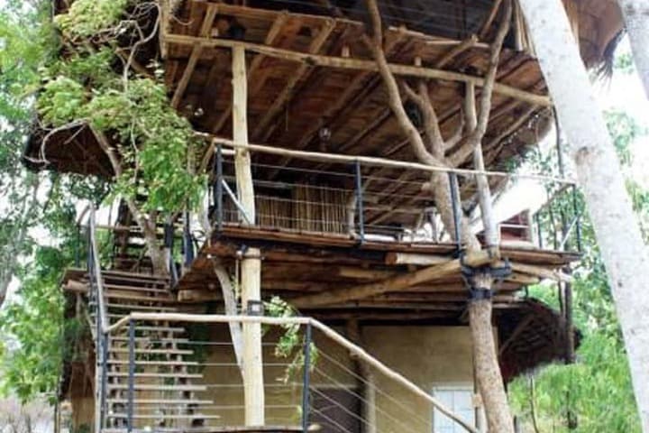 Saraii Village photo 3