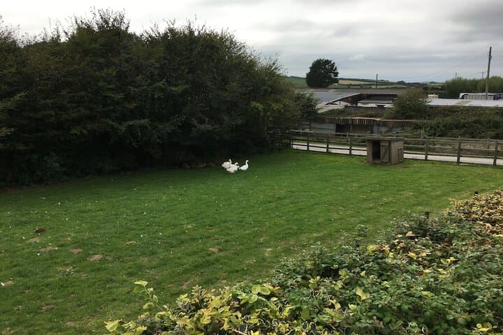 Mullacott Farm photo 5