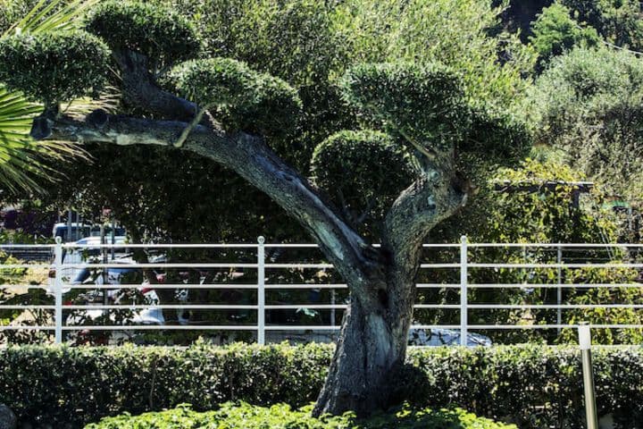 Park Oasi Residence photo 4