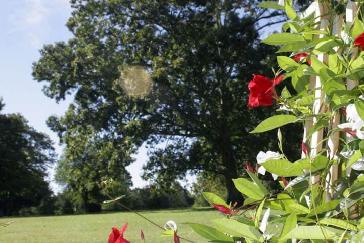 Seven Oaks Inn B&B photo 2