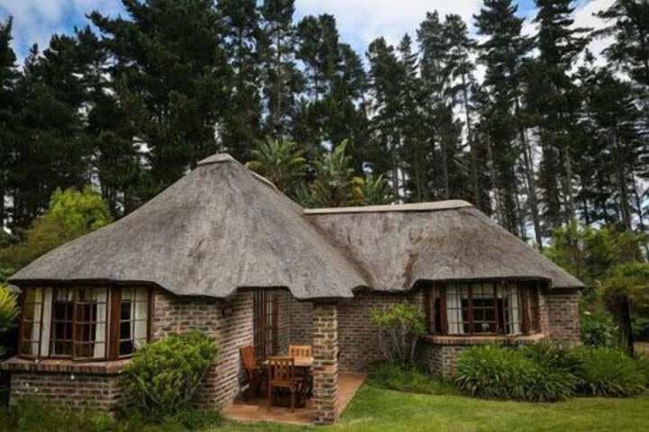 Coral Tree Cottages photo 2