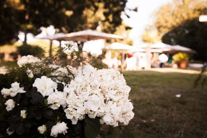 Villa Strampelli photo 2