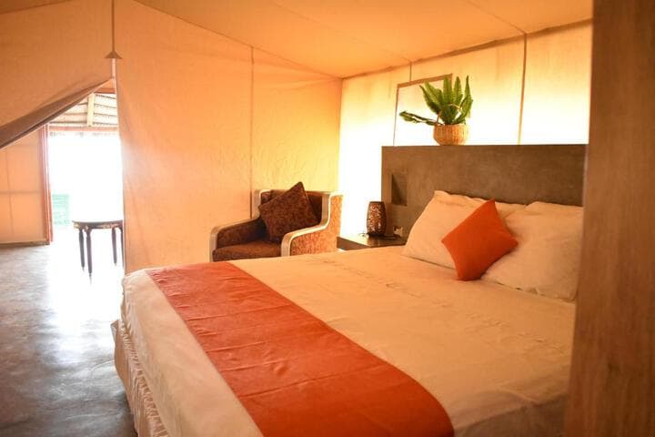 Vichayito Bungalows & Carpas photo 4