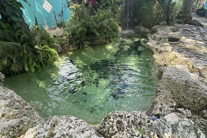 Hoosville Hostel photo 4