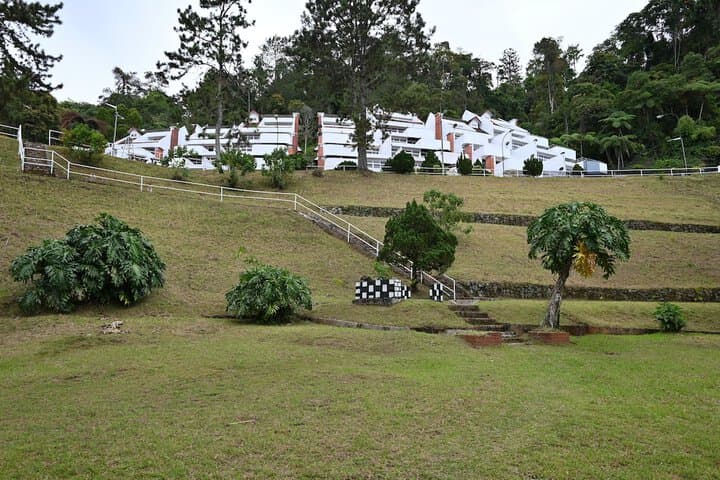 The Pines photo 2