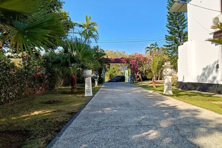 Villa Lilly photo 3