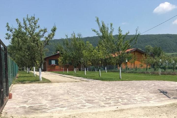 Villa Giulia photo 3