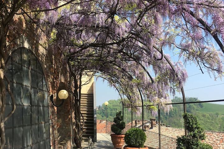 La Corte delle 4 Stagioni photo 3