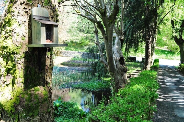 Craigmhor Lodge & Courtyard photo 3
