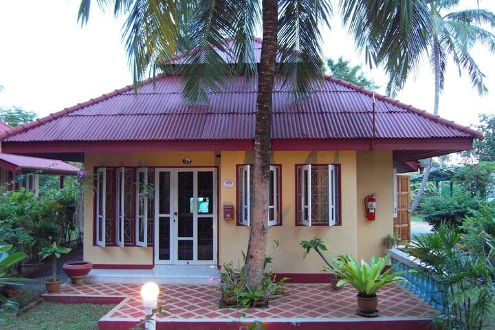 Palm Village photo 3