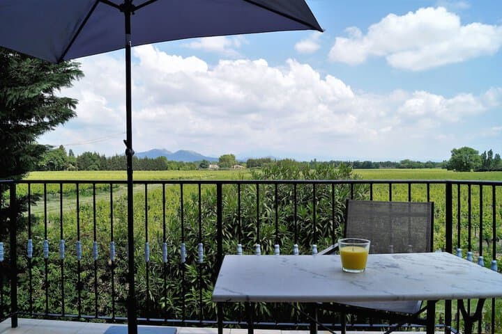 Mas du Clos de lEscarrat photo 5