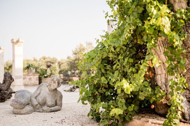 Masseria Lama di Coccaro photo 3
