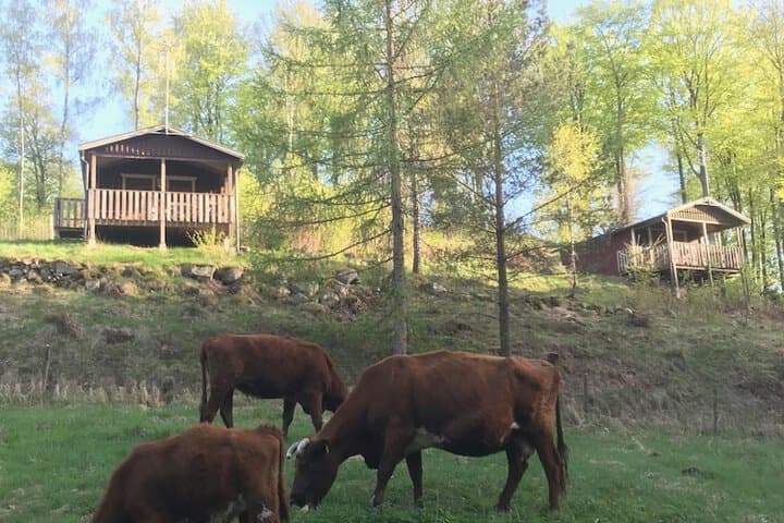 Ullstorps Stugor photo 4