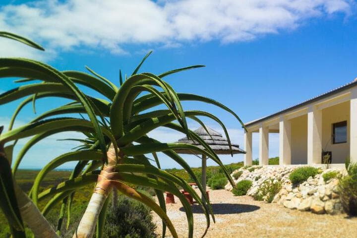 Kapensis Guesthouse photo 2