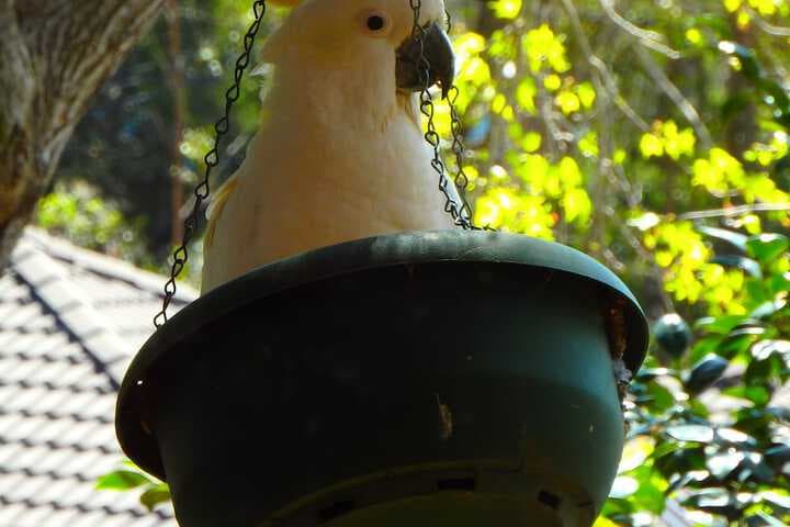 Bowral Road Bed&Breakfast photo 2