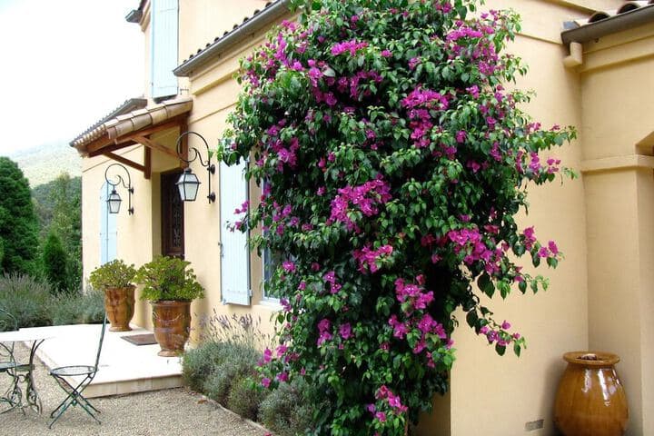 Casa Valeri photo 3
