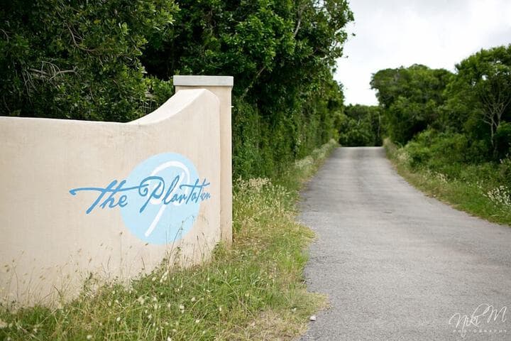 The Plantation photo 2