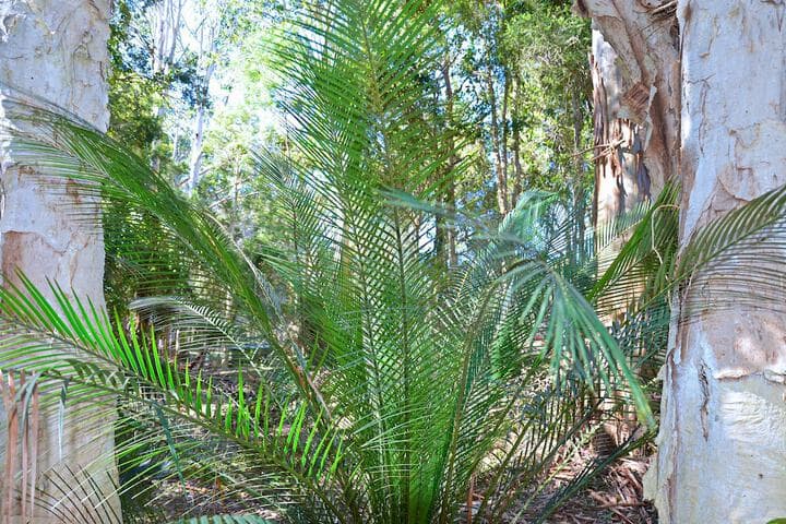 Jervis Bay Cabins & Hidden Creek Campsite photo 3
