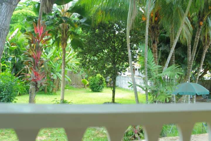 Beau Vallon Bungalows photo 4
