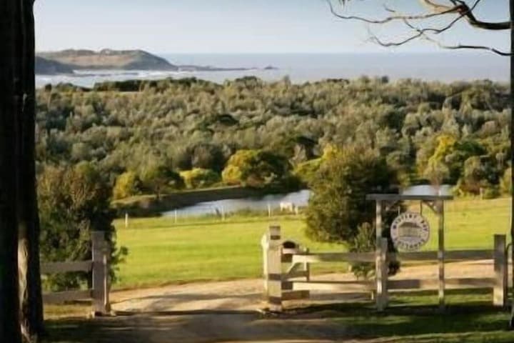 Mystery Bay Cottages photo 3