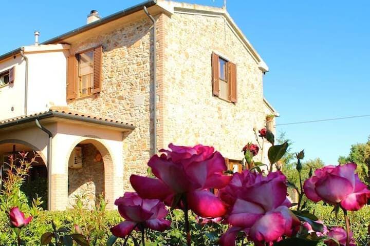 Casa Vacanze Ribocchi photo 3