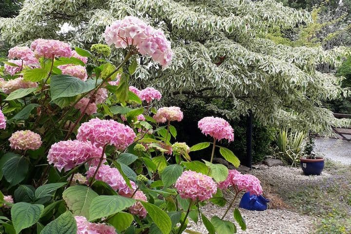 Stoneleigh Barn B&B photo 3