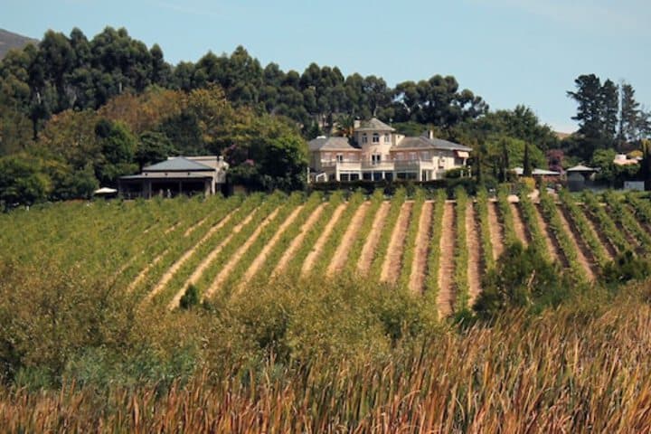 Clos Malverne Wine Estate Accommodation photo 2