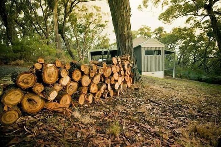 Cape Otway Cottages photo 4