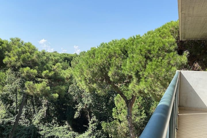 Residence Pineta Verde photo 2