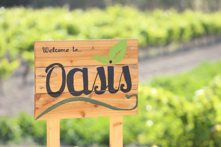 Oasis Rooms & Studios photo 2