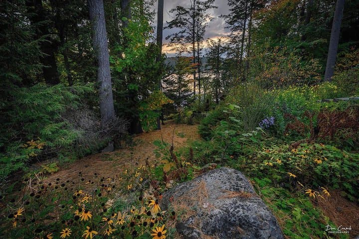 The Fern Lodge photo 5