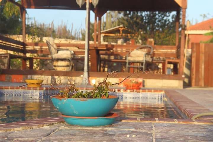 Fuego Mio Bed & Breakfast photo 3