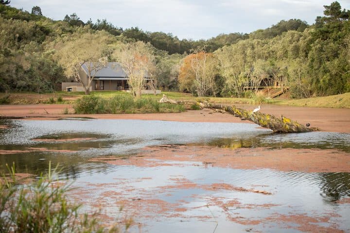 Botlierskop Bush Villas photo 2