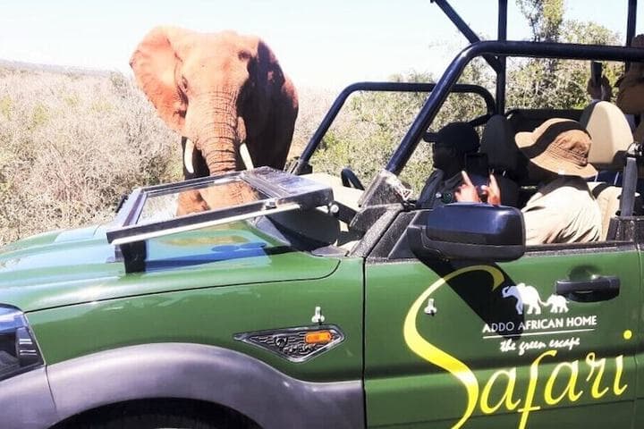 Addo African Home photo 3