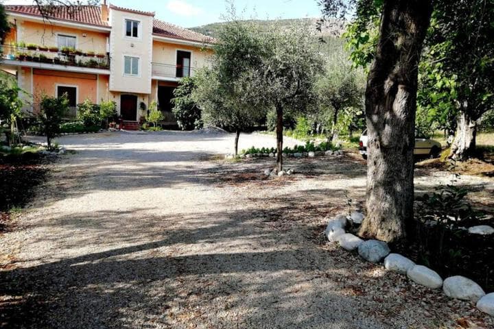 LOasi photo 1